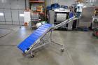 Reclaim Conveyor